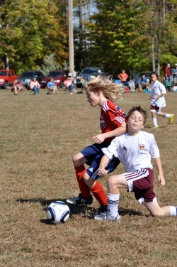 Sports Commission Sports Commission